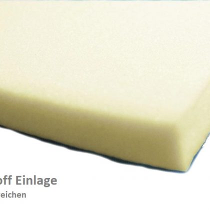 Schaumstoff Einlage